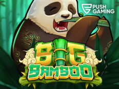 Casino slots free games81